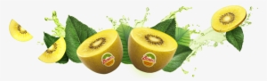 Feel Alive With Zespri Kiwifruit - Kiwi Zespri Png