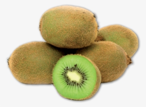 Kiwi - Kiwifruit
