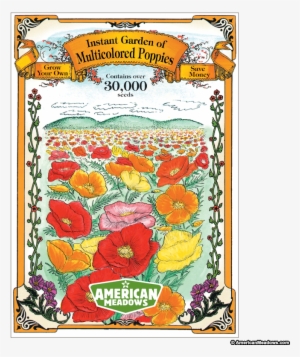 Instant Garden Of Multicolored Poppies Jumbo Packet - Poppy