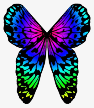 By Clipartcotttage On Deviantart - Rainbow Butterfly Wings Png