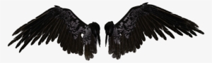 Angel Wings Png - Black Angel Wings Png