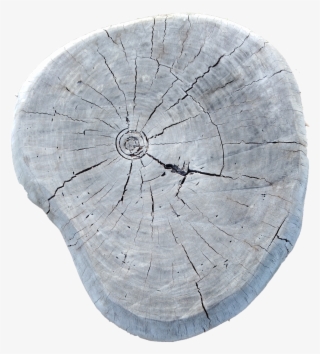 oak tree log texture roblox