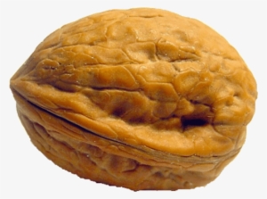 Free Png Walnut Png Images Transparent - Walnut In The Shell