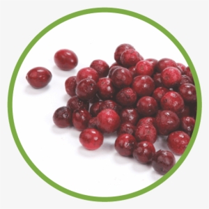 Cranberries A Native Fruit - Red Circle Fruit