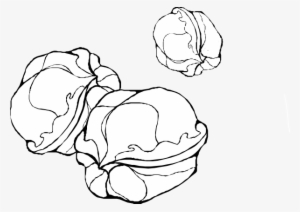 Original Png Clip Art File Walnuts Outline Svg Images