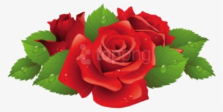 0, - Roses Vector
