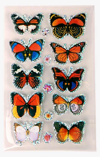 3d Butterfly Stickers - Insect Lore 3d Butterfly Stickers