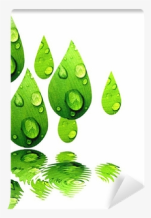 Gotas De Hojas Verdes Reflejadas En El Agua Wall Mural - Illustration