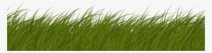 Drawn Grass Transparent - Grass Texture Side View