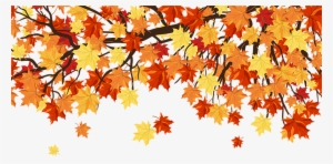 Autumn Colors, Leaves Falling, Daylight Savings - Maple Leaf Background Vector