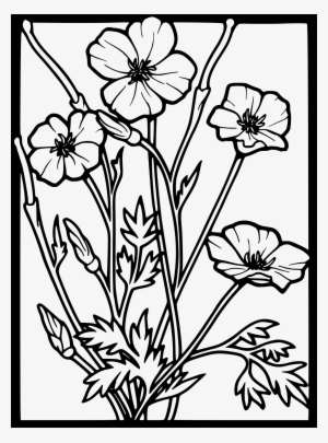 Clipart - Poppies Clipart Black And White