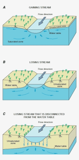 Diagram Of Interaction Of Streams And Ground Water - Surface Water Groundwater Interaction