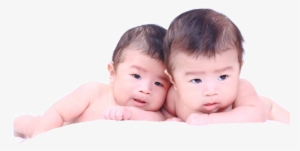 Infant Twin - Twin Babies Transparent Png