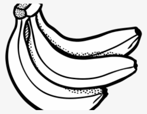 Drawn Banana Clipart - Banana Line Art