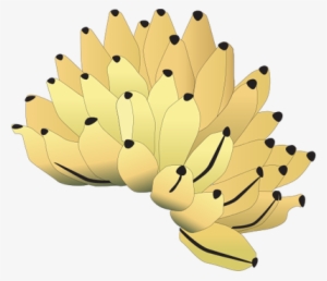 Drawn Banana Banana Bunch - Banana Bunch Vector Png