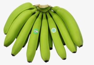 Fullhand - Saba Banana