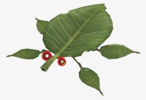 Skitter Leaf - Pikmin Leaf