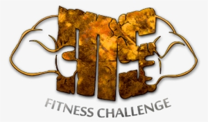 Ms Fitness Logo