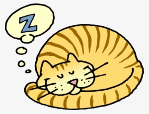 Banner Black And White Library - Cat Sleeping Clip Art