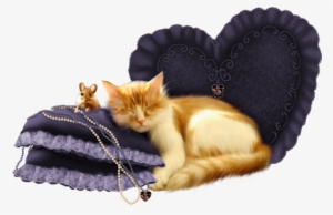Cat Sleeping - Cat