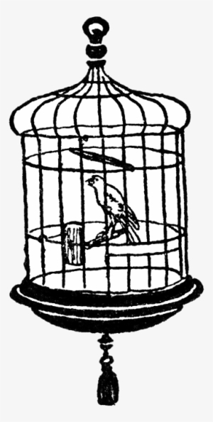 Bird Cage Transparent Clipart - Bird In Cage Transparent