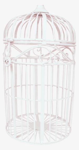 Free Png Bird Cage Png Images Transparent - Child