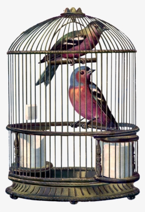 Encantarte Imagens Vintage - Bird In Cage Png
