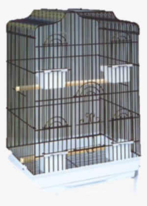 daro cockatiel bird cage - parkietenkooi