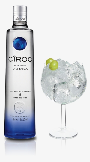 Ciroc And Tonic With Ciroc Vodka - Ciroc Coconut Vodka - 1 L Bottle