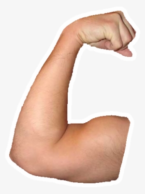 Arm Muscle Png - Transparent Arms