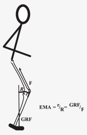 Limb Muscle Mechanical Advantage Is Defined As The - Mechanical Advantage
