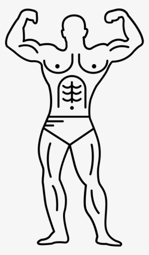 muscular outline of a bodybuilder flexing comments - muscle
