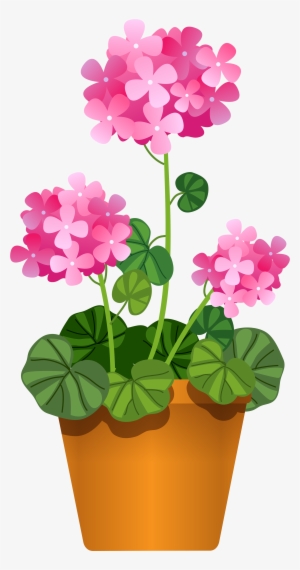 Margarita Clipart Cactus - Pink Flowers Pot Clipart