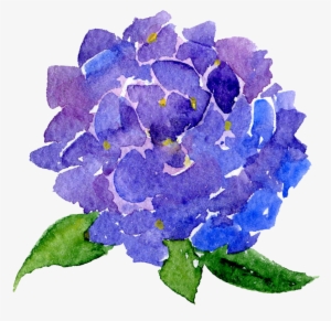Transparent Background Watercolor Flowers Clip Art