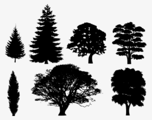 Pine Tree Clip Art Free Pictures Reference - Shapes Of Deciduous Trees