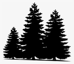 Clipart Resolution 640*548 - Pine Trees Silhouette Png