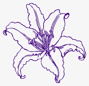 Purple Lilly Clip Art - Lilly Clipart