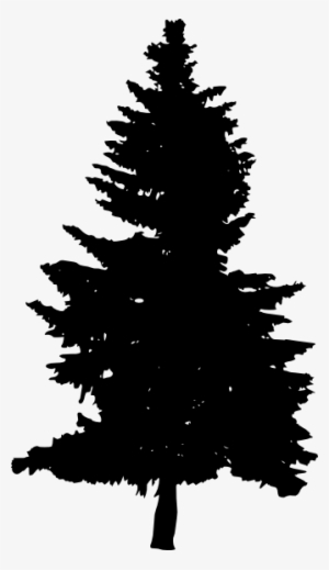 30 Pine Tree Silhouette Png Transparent Vol 2 Onlygfxcom - Pine Tree Silhouette Transparent Background