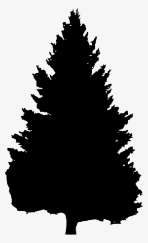 Pine Tree Silhouette Png Download - Christmas Tree