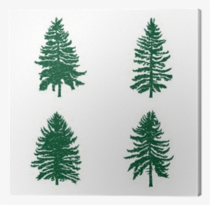 Set Of Different Silhouettes Of Green Pine Trees, Vector - Conifer Tree Silhouette