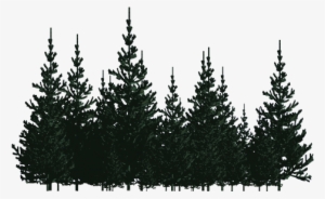 Billboard Trees - Pines Png