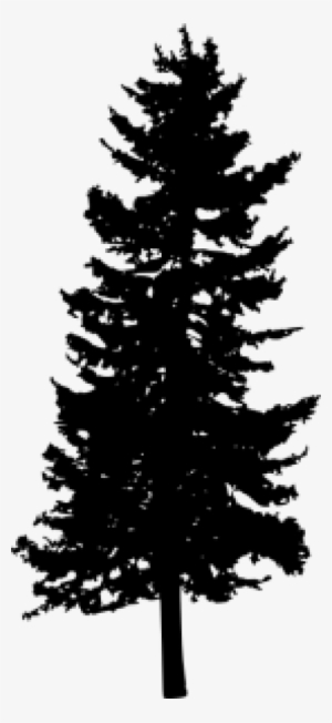 Free Png Pine Tree Silhouette Png Images Transparent - Portable Network Graphics