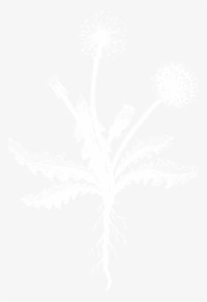 Dandelion Woman Illustration-01 - Crowne Plaza White Logo