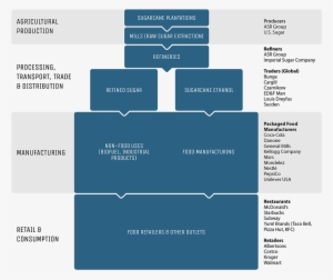 Download The Sugarcane Brief - Value Chain Of Sugarcane