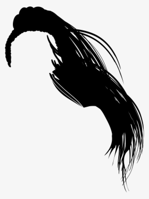 This Free Icons Png Design Of Female Hair Silhouette