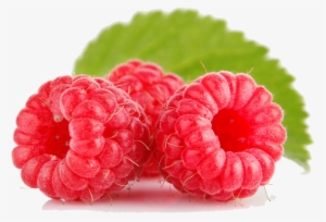 Raspberry - Raspberry Png