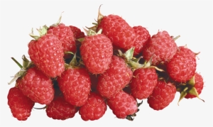 Raspberries Png