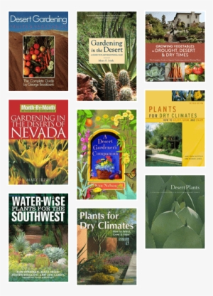 Gardening In The Desert - Gardening In The Desert: A Guide To Plant Selection