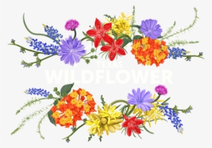Texas Wildflower Vodka - Wildflower Clipart