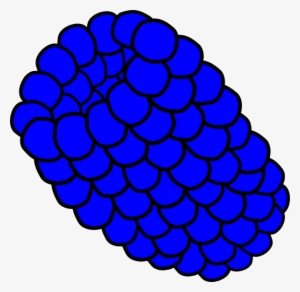 Blue Raspberry Svg Clip Arts 600 X 584 Px